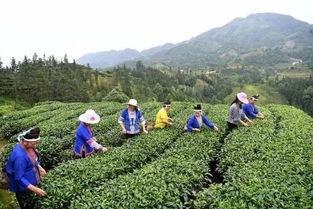 三江扶貧隊員 侗歌傳唱新生活，農(nóng)副產(chǎn)品暢銷路